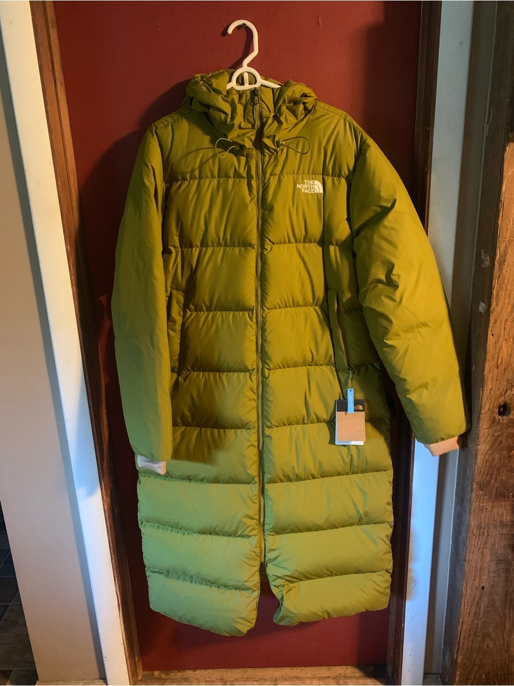 The North Face Puffer Coat with Hood